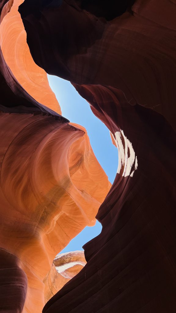 Immagine #1 da cacca